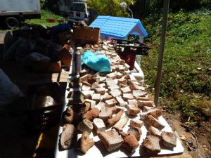 Cortes, Ermelinda, 2-Root Seeds of Hope